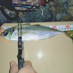 サーフフロートアジング