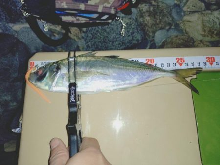 サーフフロートアジング