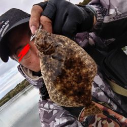 マゴチとソゲが釣れました!