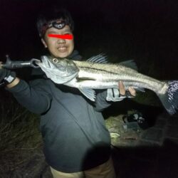 ナイトシーバスをキャッチ！