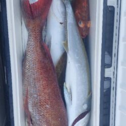 日本海アンダーベイト