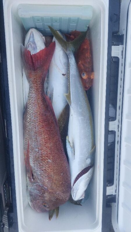 日本海アンダーベイト