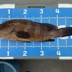 雨の中で一つテンヤ頑張りました