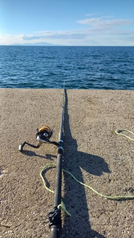 2025秋の青物シーズン開幕③