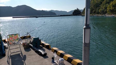 投げサビキでアジ