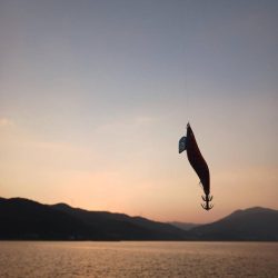 とりあえずアオリ10回目