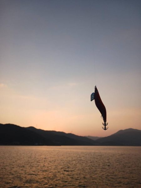 とりあえずアオリ10回目