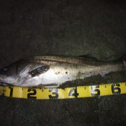 厳しい状況の中