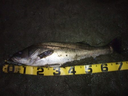 厳しい状況の中