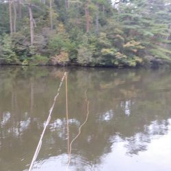 フライフィッシング第2戦〜ハミングバード通天湖〜