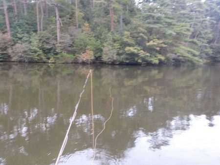 フライフィッシング第2戦〜ハミングバード通天湖〜