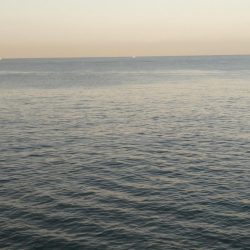 朝マズメのみの短時間釣行