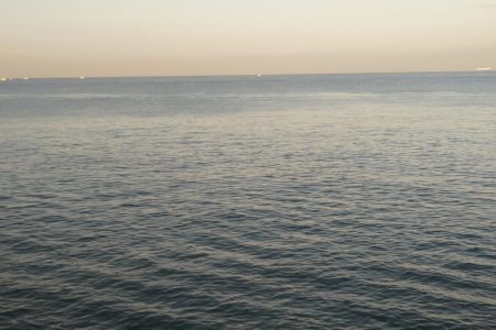 朝マズメのみの短時間釣行