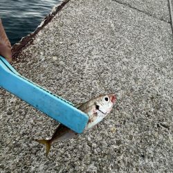 冬の時期スタート！