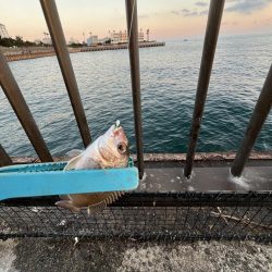 ゲゲゲの外道の日　サビキの冬の巻