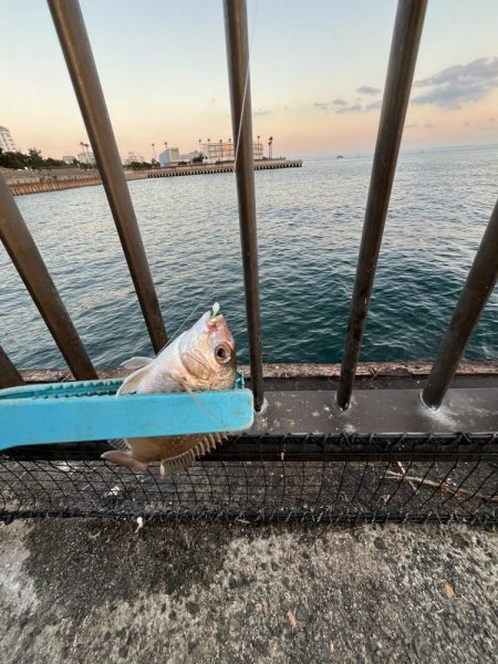 ゲゲゲの外道の日　サビキの冬の巻