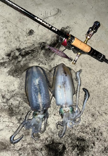 仕事帰りエギング③