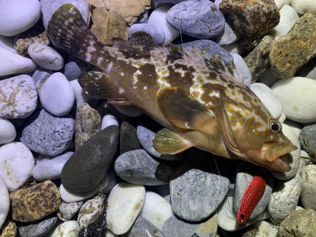 砂利浜スプーニング