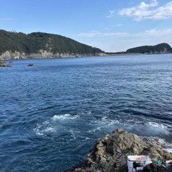 たかたかの釣り日記