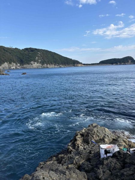 たかたかの釣り日記