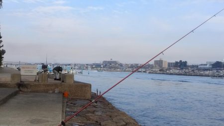 東二見北水路のキス調査