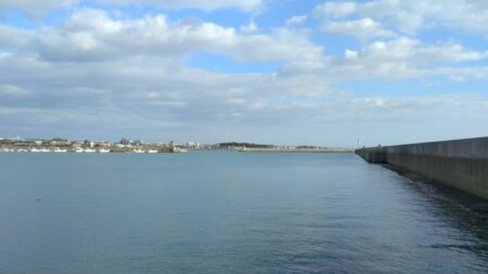 落ちギスが釣れ初めました