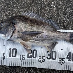 イチノ兄弟、釣果！