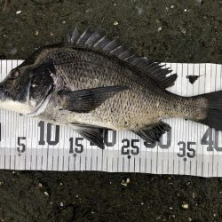 イチノ兄弟、釣果！