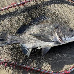 イチノ兄弟、釣果！