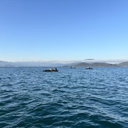 筏ショアジギング&エギング