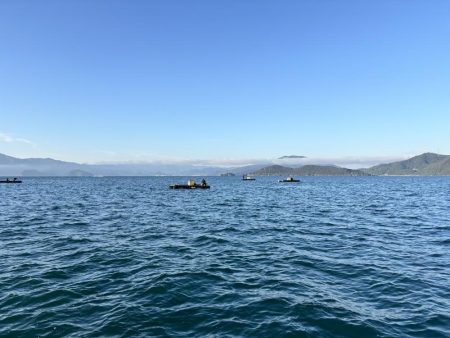 筏ショアジギング&エギング