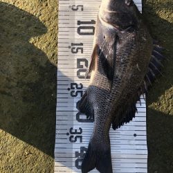 イチノ兄弟、釣果！