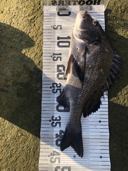 イチノ兄弟、釣果！