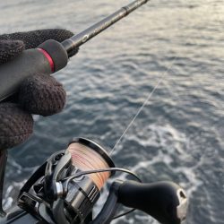 2025 佐渡ヶ島エギング Vol.45【11月4日】