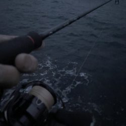 2025 佐渡ヶ島エギング Vol.50【11月9日】