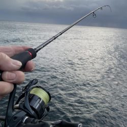 2025 佐渡ヶ島エギング Vol.51【11月11日】