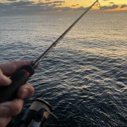 2025 佐渡ヶ島エギング Vol.55【11月16日】