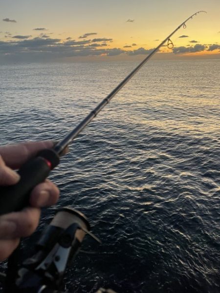 2025 佐渡ヶ島エギング Vol.55【11月16日】