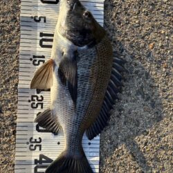 イチノ兄弟、釣果！