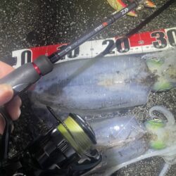 2025 佐渡ヶ島エギング Vol.60【11月28日】