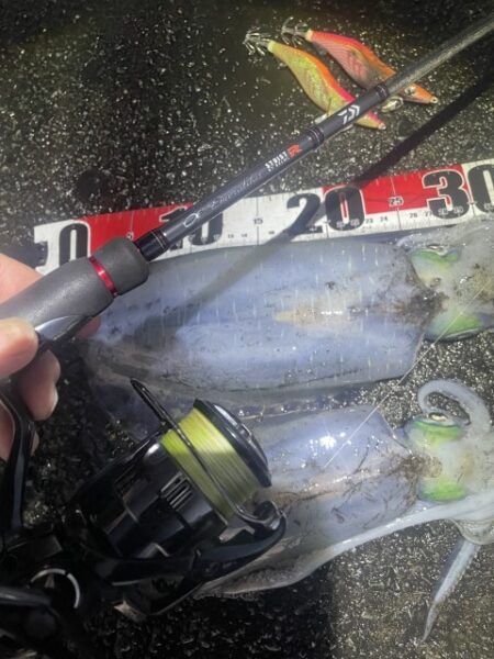 2025 佐渡ヶ島エギング Vol.60【11月28日】