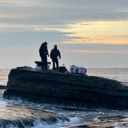 和歌山市江(吉丸渡船)でグレ釣り