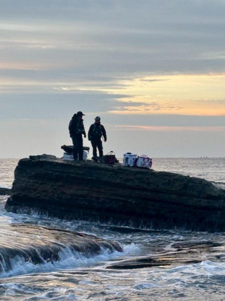 和歌山市江(吉丸渡船)でグレ釣り