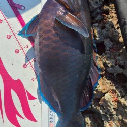 DAIWAグレマスターズ和歌山予選