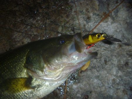 一庫ダム釣行　11月17日