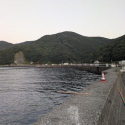 高知の獲物は大きいぞ