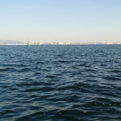 何匹釣っても20センチ(笑)