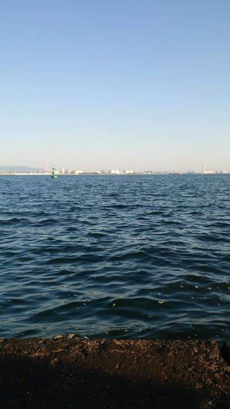 何匹釣っても20センチ(笑)