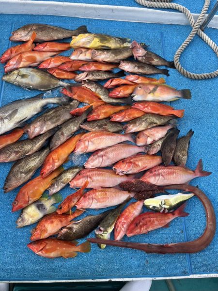 やっぱりSLJはおもしろい!