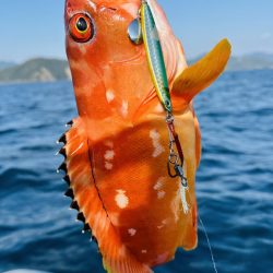 久しぶりの紀北ボート釣行